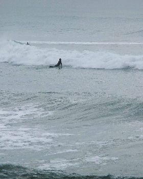 sumner 010