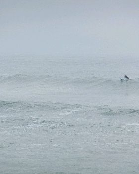 sumner 015