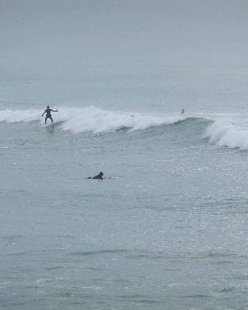 sumner 006