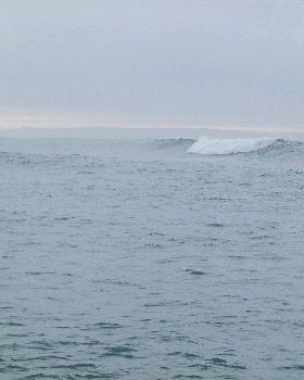 sumner 2 003