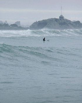 sumner 2 006