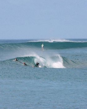 Mentawai 2-231