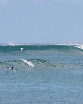 Mentawai 2-235