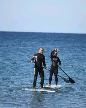 Fanatic boards, PAlmy