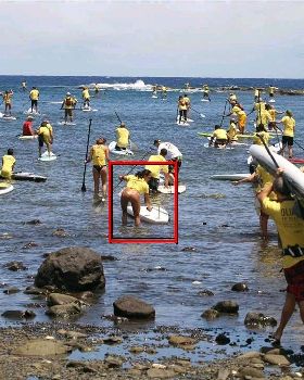 Stand Up Paddle