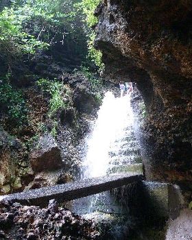 P1000256(1)