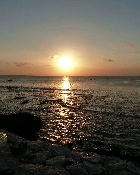 P1000364(1)