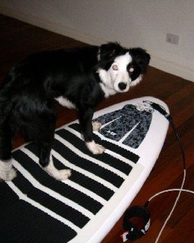 Stand Up Paddle