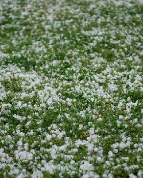 Hail Leftovers