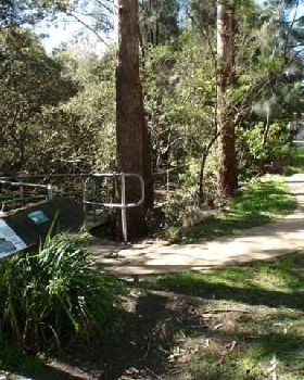 Lane Cove River 2