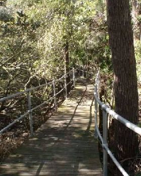 Lane Cove River 3