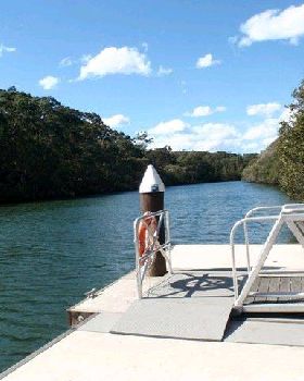 Lane Cove River 8