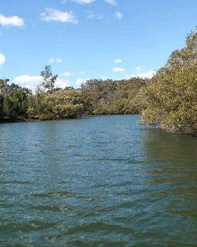Lane Cove River 9