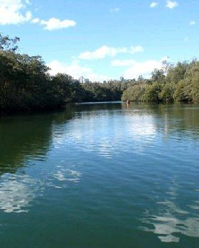 Lane Cove River 10