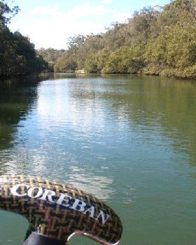 Lane Cove River 11