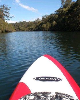 Lane Cove River 13