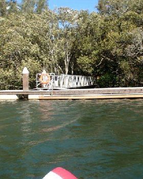 Lane Cove River 14