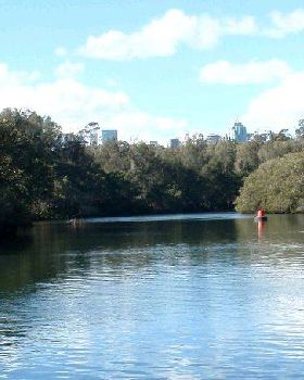 Lane Cove River 15