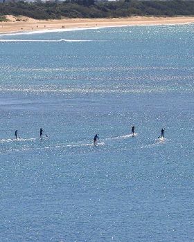 Stand Up Paddle
