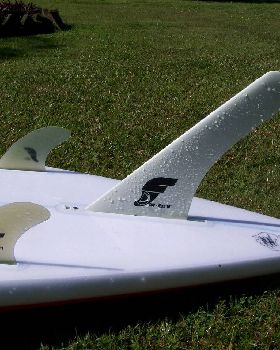 true north flyingfish