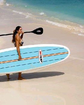 sup overview image 2[1]
