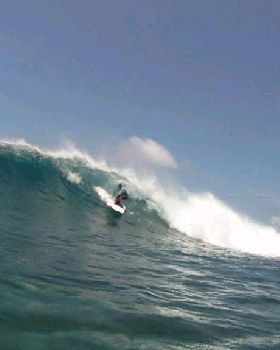 tube 01