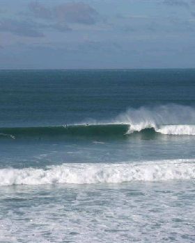 BIG BELLS 001 (Medium)