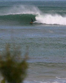 winter in victoria  max temp 11 degrees