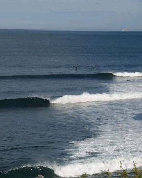 RINCON 024 (Medium)