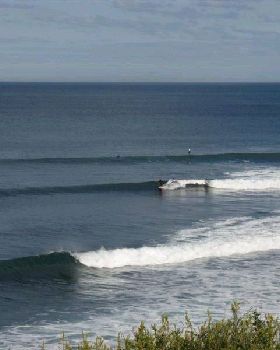 RINCON 008 (Medium)
