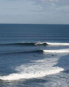 RINCON 029 (Medium)