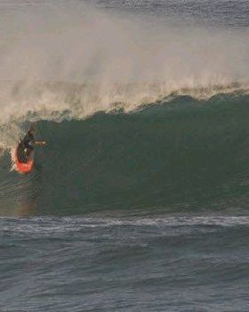 grainger bombie
