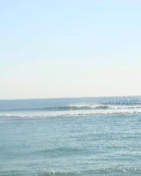 DSC01879