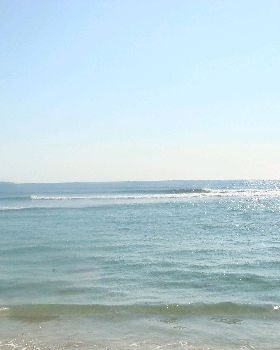 DSC01880