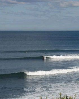 RINCON 007 (Medium)