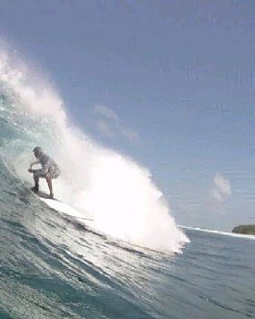 mldives tube
