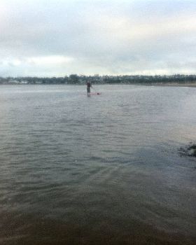 Stand Up Paddle