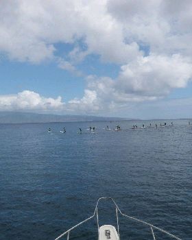 Stand Up Paddle