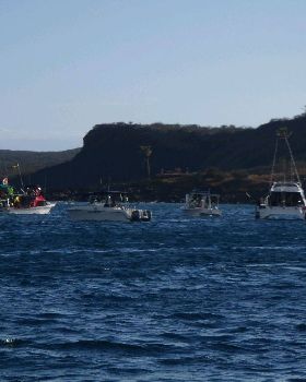 101. START Molokai