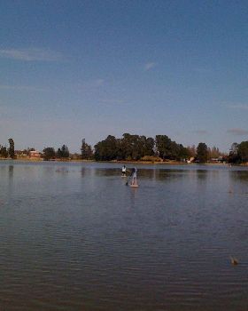 Stand Up Paddle