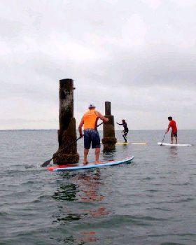 Brisbane SUP Club