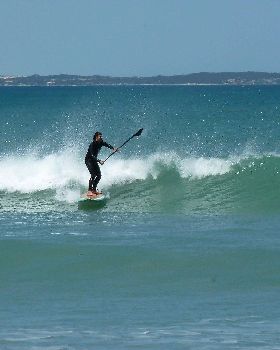 Pete long weekend