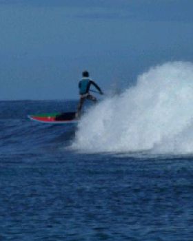 Stand Up Paddle