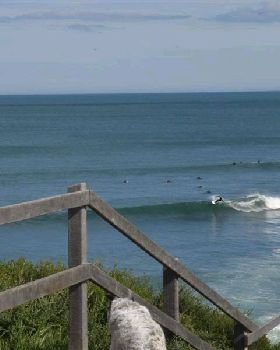 Rincon 044 (Medium)