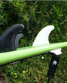 cheep plastic fins