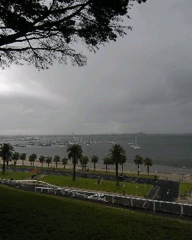  DSC0154