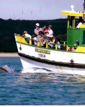 Curra%20with%20dolphins