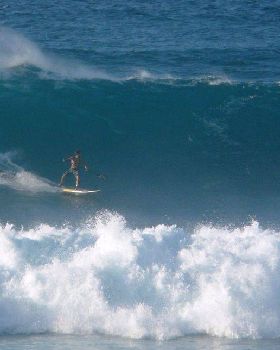 Hookipa PM 101021-13sm