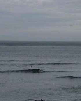 RINCON 002 (Small)
