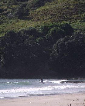 stand up nz